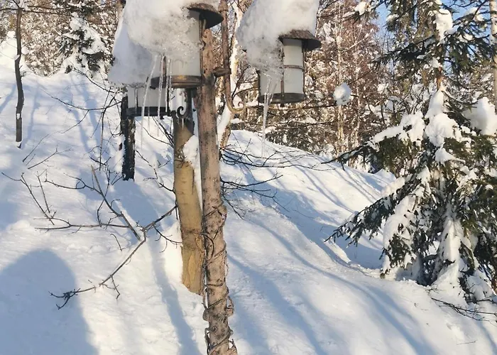 Apartment Widokowka *